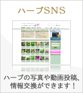 ハーブ図鑑 70種類以上のハーブを紹介 ハーブのホームページ